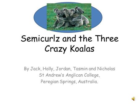 Semicurlz and the Three Crazy Koalas By Jack, Holly, Jordan, Tasmin and Nicholas St Andrew’s Anglican College, Peregian Springs, Australia.