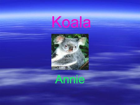 Koala Annie. Koala  Koalas live in Australia  Koalas are pouched mammals  Called bear, but not in bear family  Koalas are now found in Queensland,