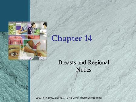 Copyright 2002, Delmar, A division of Thomson Learning Chapter 14 Breasts and Regional Nodes.