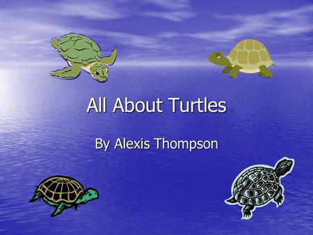 All About Turtles By Alexis Thompson. Turtles Turtles And Their Eggs When mother turtles have their eggs she covers them in soil so she can go get food.