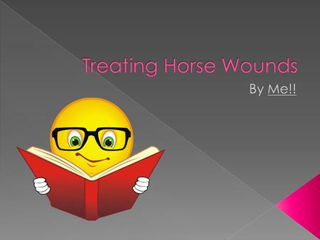  Horse wounds often happen when  Riding  With fences or cross country  Traveling  In a trailer  With other horses, if fighting.