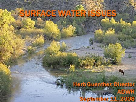 SURFACE WATER ISSUES Herb Guenther, Director ADWR September 11, 2008.