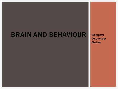 Chapter Overview Notes BRAIN AND BEHAVIOUR.  1 st : Franz Gall “phrenology” the idea that certain areas of the brain control certain functions and behaviours.