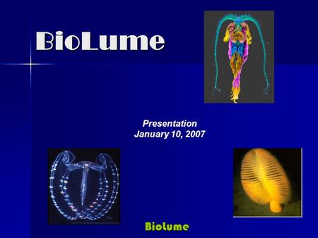 BioLume BioLume Presentation January 10, 2007. BioLume BioLume Mission …..to develop and commercialize a broad library of proprietary bioluminescent proteins.