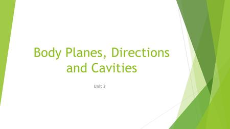 Body Planes, Directions and Cavities