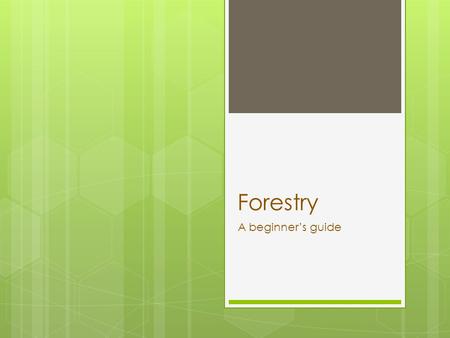 Forestry A beginner’s guide.