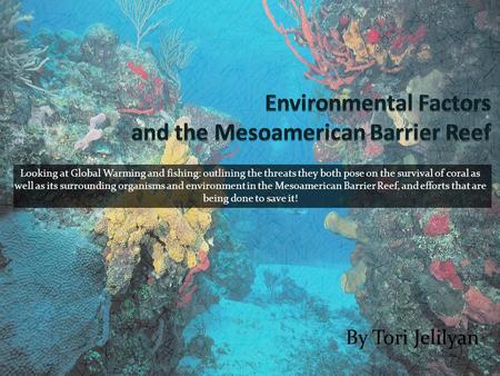 Looking at Global Warming and fishing: outlining the threats they both pose on the survival of coral as well as its surrounding organisms and environment.
