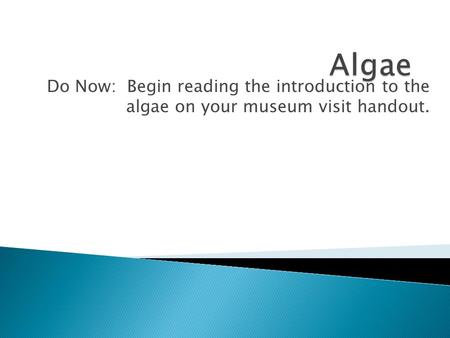 Do Now: Begin reading the introduction to the algae on your museum visit handout.
