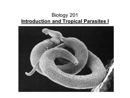 Biology 201 Introduction and Tropical Parasites I.