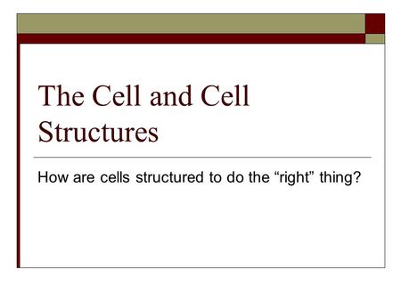 The Cell and Cell Structures How are cells structured to do the “right” thing?