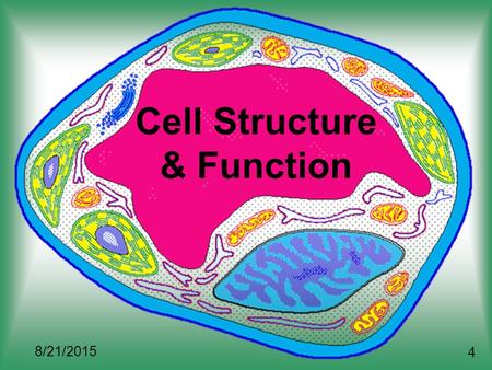 Cell Structure & Function 8/21/2015 4. Definition of Cell A cell is the smallest unit that is capable of performing life functions.
