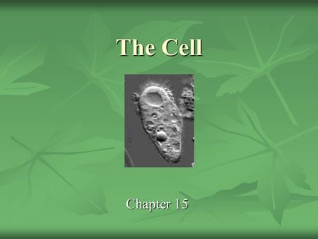 The Cell Chapter 15.