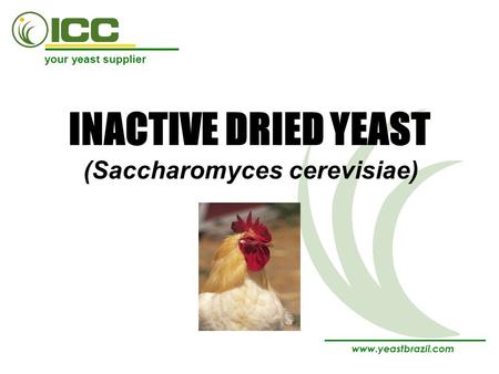 Your yeast supplier www.yeastbrazil.com INACTIVE DRIED YEAST (Saccharomyces cerevisiae)