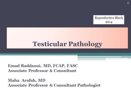 Testicular Pathology Emad Raddaoui, MD, FCAP, FASC