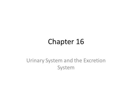 Urinary System and the Excretion System