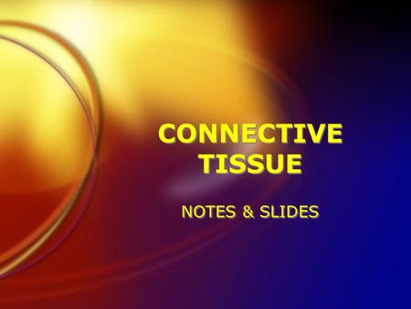 CONNECTIVE TISSUE NOTES & SLIDES.