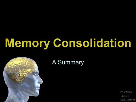 Memory Consolidation A Summary PSY 506A 11.4.11 Molly Bisbee.
