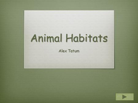 Animal Habitats Alex Tatum.