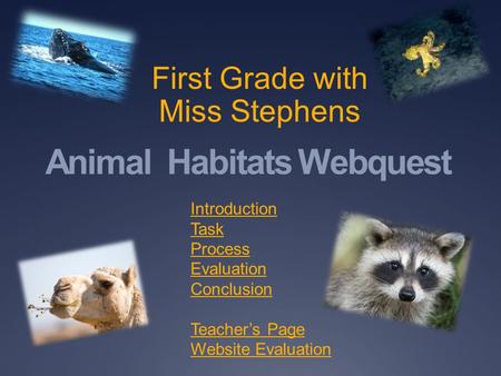 Animal Habitats Webquest