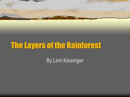 The Layers of the Rainforest