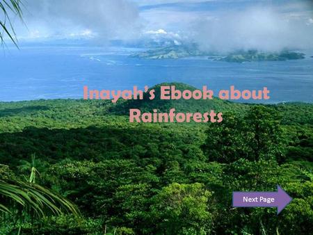 Inayah’s Ebook about Rainforests Next Page. Contents Page Introduction : Page 3 Forest Floor : Page 4 Understory Layer : Page 5 Canopy Layer : Page 6.
