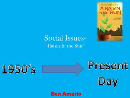 Social Issues- “Raisin In the Sun” Ben Amerio. Summary The play “Raisin In the Sun”, was set in the 1950’s in Chicago. This play focuses on the struggle.