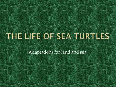 Adaptations for land and sea.