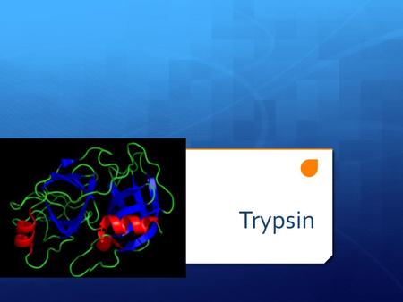 Trypsin. Intro  Trypsin is a serine protease found in the digestive system of many vertebrates, where it hydrolyses proteins.  Trypsin is produced in.