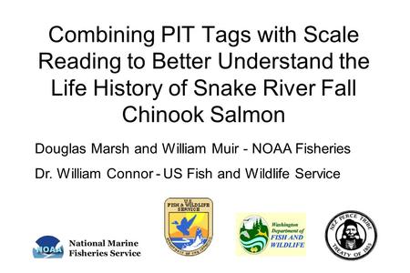 Combining PIT Tags with Scale Reading to Better Understand the Life History of Snake River Fall Chinook Salmon Douglas Marsh and William Muir - NOAA Fisheries.