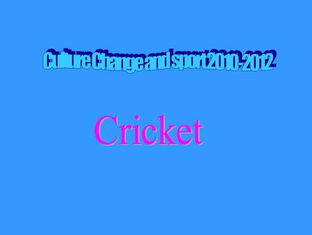 a presentation about cricket