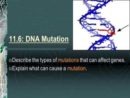 11.6: DNA Mutation Describe the types of mutations that can affect genes. Explain what can cause a mutation.