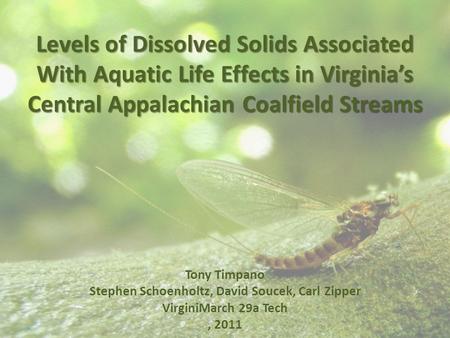 Levels of Dissolved Solids Associated With Aquatic Life Effects in Virginia’s Central Appalachian Coalfield Streams Tony Timpano Stephen Schoenholtz, David.