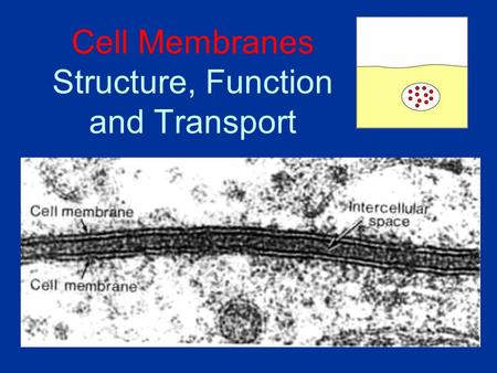 Cell Membranes Structure, Function and Transport.