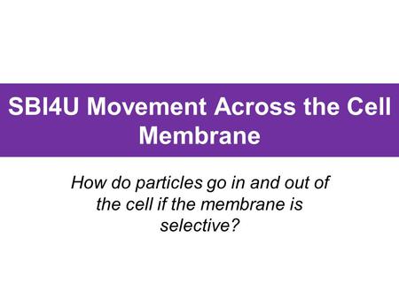 SBI4U Movement Across the Cell Membrane