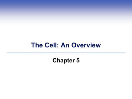 The Cell: An Overview Chapter 5. Cell Theory: Fundamental to Life  All organisms are cellular  Cell: the smallest unit of life  Cells come only from.