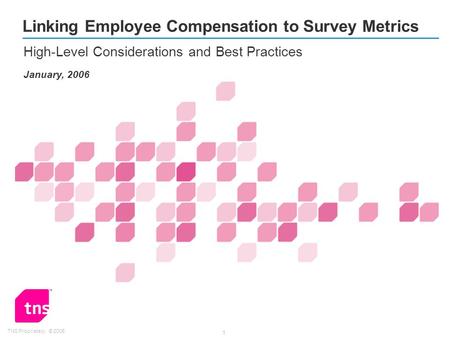 TNS Proprietary: © 2005 1 Linking Employee Compensation to Survey Metrics High-Level Considerations and Best Practices January, 2006.