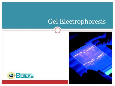 Gel Electrophoresis Do you want a footer?.