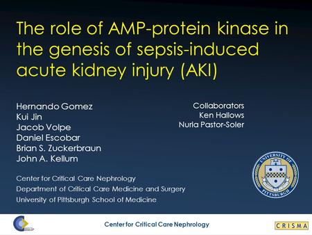 CRISMA The role of AMP-protein kinase in the genesis of sepsis-induced acute kidney injury (AKI) Hernando Gomez Kui Jin Jacob Volpe Daniel Escobar Brian.