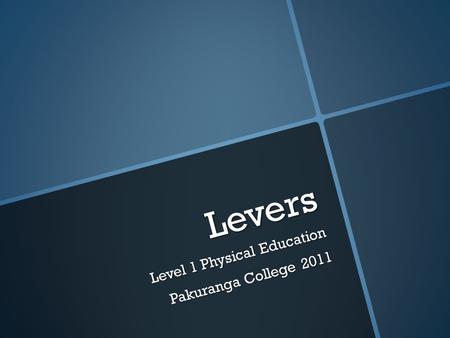 Levers Level 1 Physical Education Pakuranga College 2011.