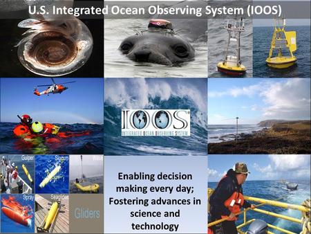 U.S. Integrated Ocean Observing System (IOOS) Enabling decision making every day; Fostering advances in science and technology.