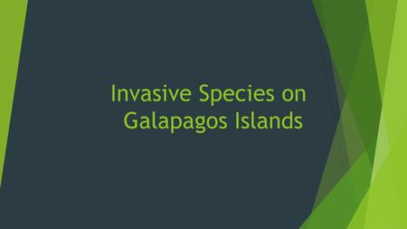 Invasive Species on Galapagos Islands. Name of speciesHow introducedImpactControl GoatsPirate shipsThey eat everything. Using their natural predators.