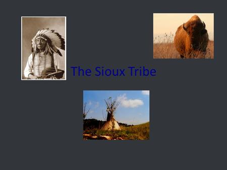 The Sioux Tribe. The Sioux house The Sioux were living on the edge of the Eastern Woodlands. But were forced into the Plains by Europe. They wanted to.