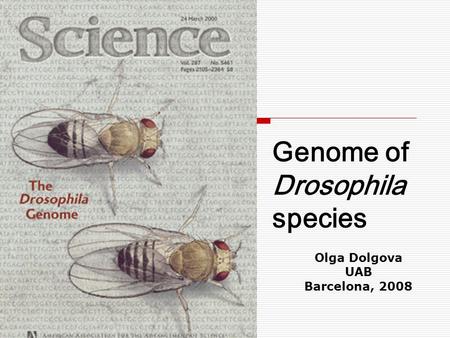 Genome of Drosophila species Olga Dolgova UAB Barcelona, 2008.