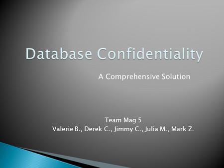 A Comprehensive Solution Team Mag 5 Valerie B., Derek C., Jimmy C., Julia M., Mark Z.