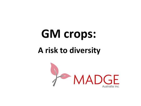 GM crops: A risk to diversity. Who owns seed? In 1970’s no company owned 1% of the market In 2006 top 10 companies owned 57% of world seed