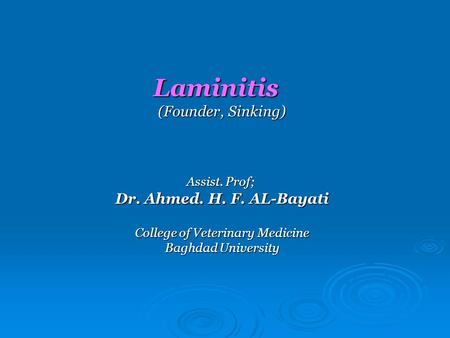 Laminitis (Founder, Sinking) Assist. Prof; Dr. Ahmed. H. F. AL-Bayati College of Veterinary Medicine Baghdad University.