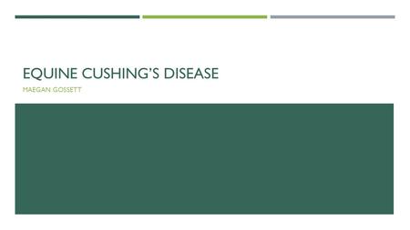EQUINE CUSHING’S DISEASE MAEGAN GOSSETT. WHAT IS EQUINE CUSHING’S DISEASE?  Equine Cushing’s Disease or Equine Pituitary Pars Intermedia Dysfunction.