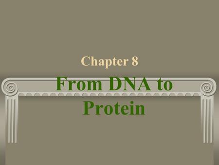 Chapter 8 From DNA to Protein. 8-2 DNA Structure 3 understandingsGenes 1. Carry information for one generation to the next 2. Determine which traits are.