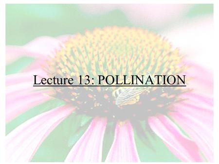 Lecture 13: POLLINATION.
