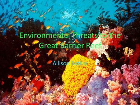 Environmental Threats to the Great Barrier Reef Allison Botkin.